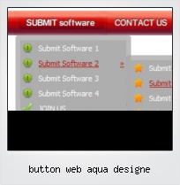 Button Web Aqua Designe