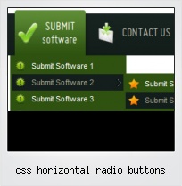 Css Horizontal Radio Buttons