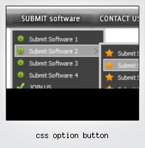 Css Option Button