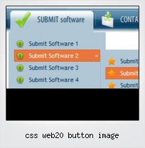 Css Web20 Button Image