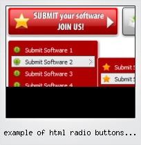 Example Of Html Radio Buttons Using