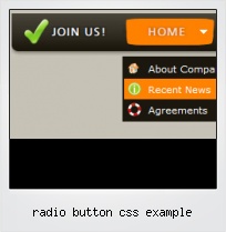Radio Button Css Example