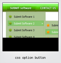 Css Option Button