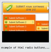 Example Of Html Radio Buttons Using
