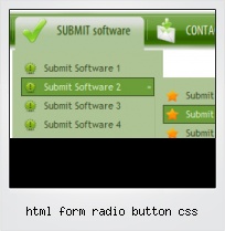 Html Form Radio Button Css