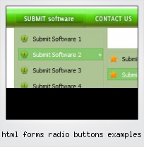 Html Forms Radio Buttons Examples