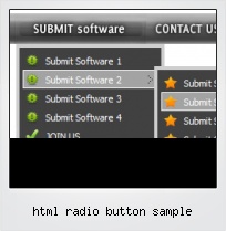 Html Radio Button Sample