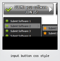 Input Button Css Style
