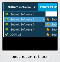 Input Button Mit Icon