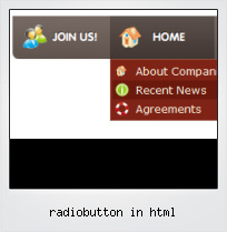 Radiobutton In Html